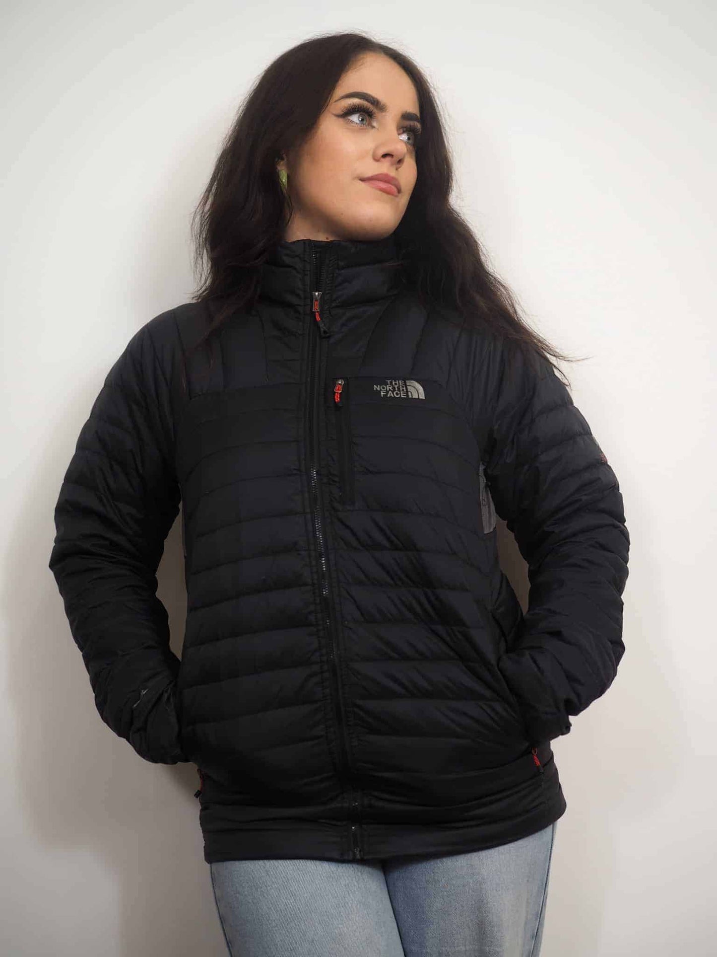 North Face Summit Series 800 Pro Puffer Jacket